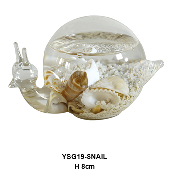 YSG19-SNAIL