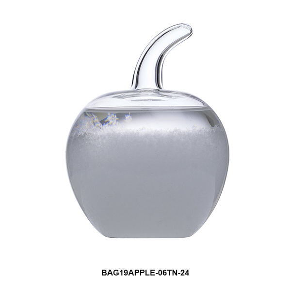 BAG19APPLE-06TN-24 .jpg