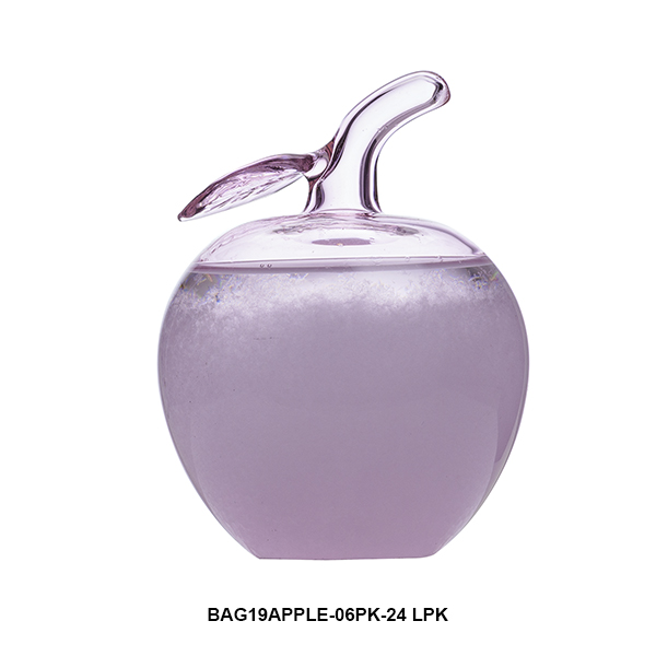 BAG19APPLE-06PK-24 LPK.jpg